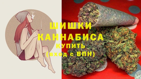 стафф Бронницы